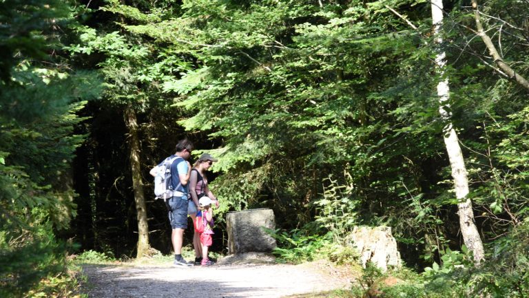 Neufchâteau : les projets du canton examinés à la loupe