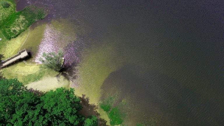 Plongez au pays des merveilles du lac de Bouzey