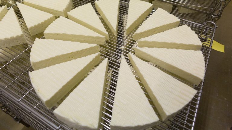Les Vosges , la fabrique de Présidents !