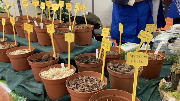 Mars au jardin : tous les conseils au salon Green expo