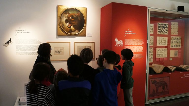 Le loup à l'honneur au Musée de l'Image