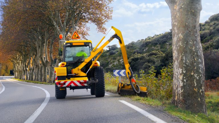 Fauchage retardé, nature préservée