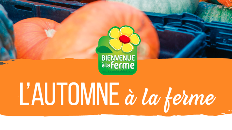 Visites, rencontres et découvertes pour l’Automne à la Ferme
