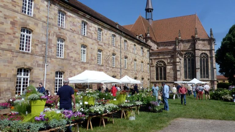 Plantes en fête à Autrey