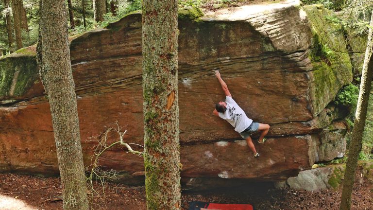 Les Vosges : Terre de Blocs ?