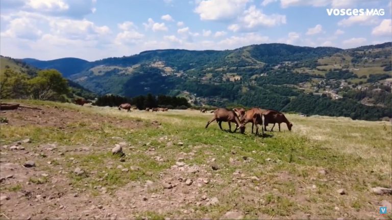 Rendez-vous à La Bresse avec les Estivosges