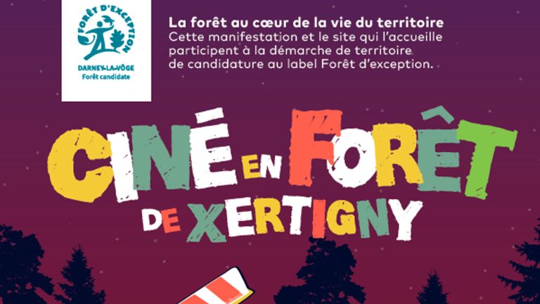 Séance de cinéma au cœur de la forêt de Xertigny