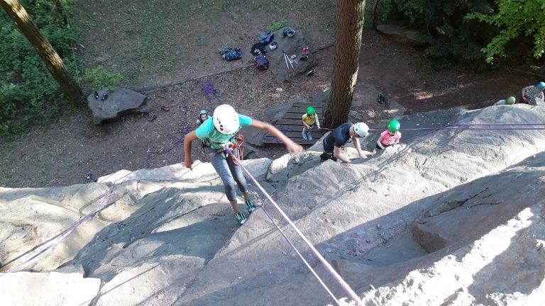 Climbing Woody : une entreprise qui grimpe !