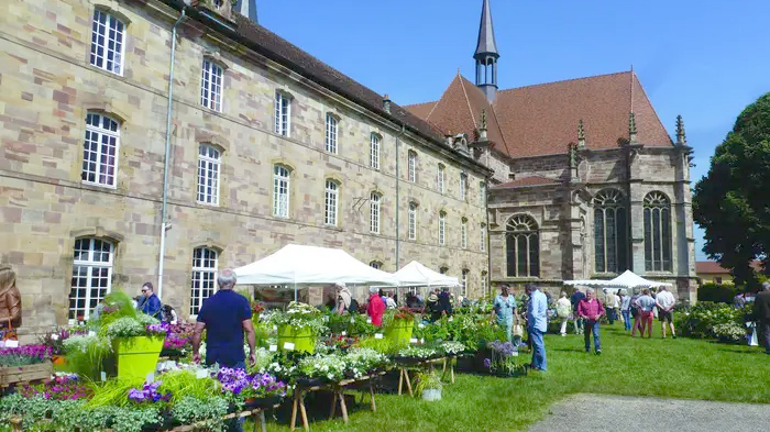 Plantes en Fête à l'Abbaye