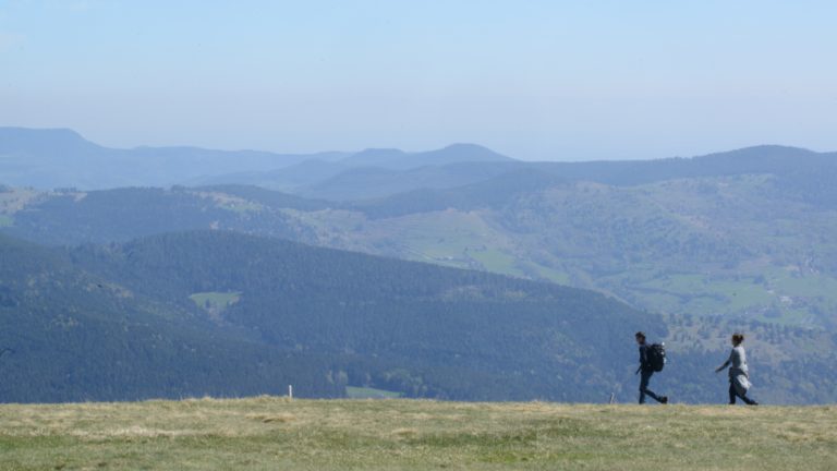 Les Vosges comme destination de la clientèle étrangère