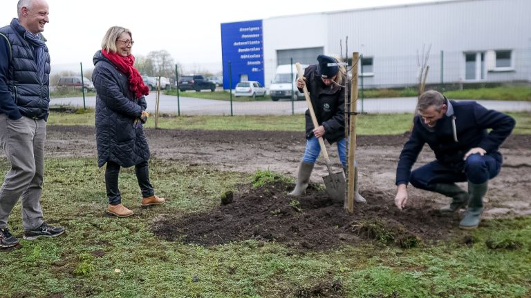 Le Département vous aide à planter vos arbres fruitiers