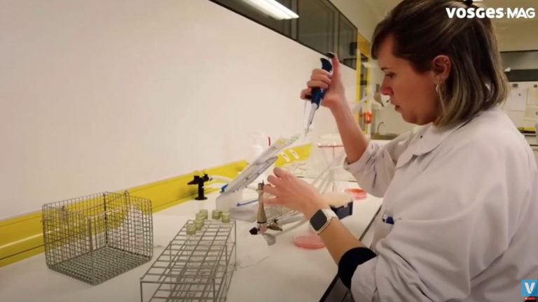 Le Laboratoire départemental veille sur la sécurité alimentaire et animale