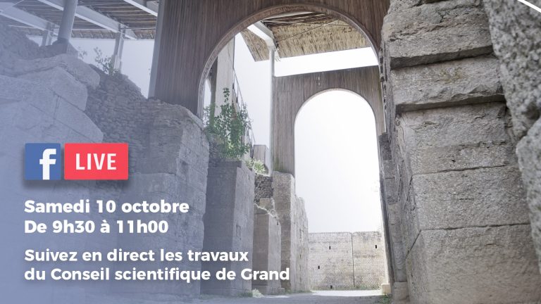 Pour la fête de la science, Grand fait son live !