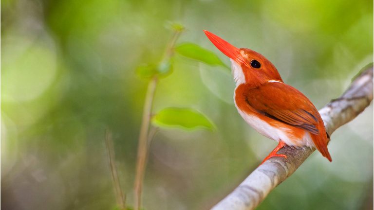 Natur’Images Enfin !