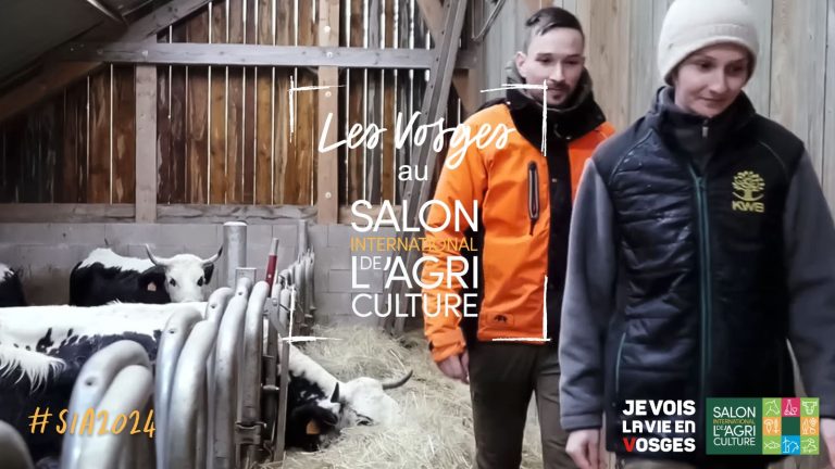 Zoom sur un élevage caprin et bovin : Histoire d'une éleveuse installée depuis 2020