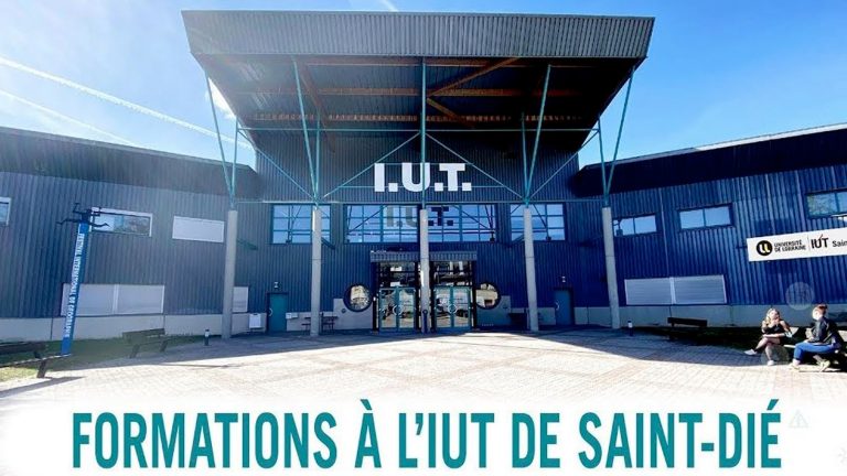 Tout savoir sur les formations de l’IUT de Saint-Dié dans un live sur YouTube