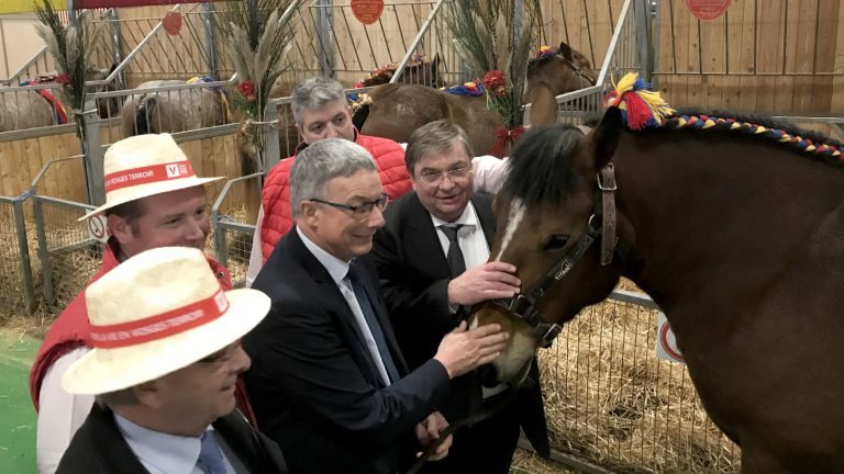 Les Vosges plantent le décor au Salon de l'Agriculture