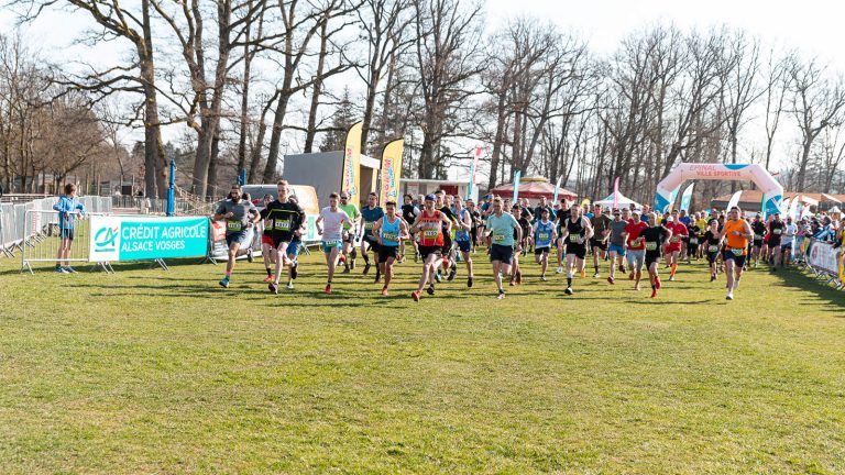 Sport, nature et terroir au Trail des terroirs vosgiens