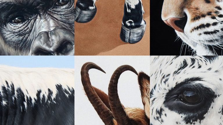 Art animalier à La Bresse : une expo à rugir de plaisir!