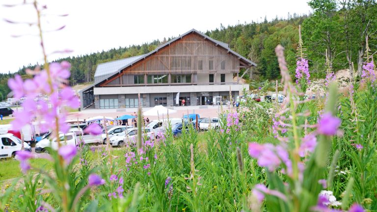 Le Tétras 1139  voit la Vie en Vosges Terroir