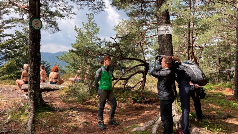 Les Vosges à l’honneur sur M6