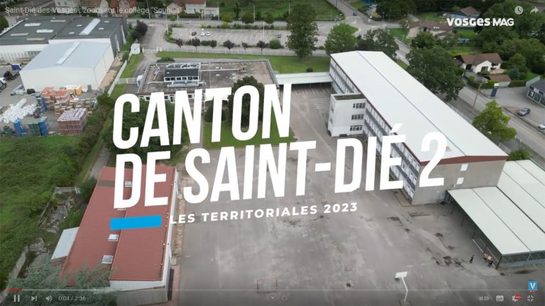 Saint-Dié-des-Vosges : zoom sur le collège "Souhait"