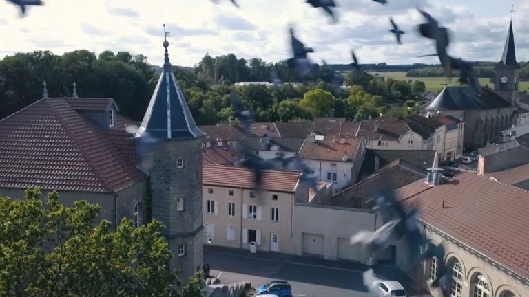 Vidéo : Darney veut redonner vie à son centre Bourg