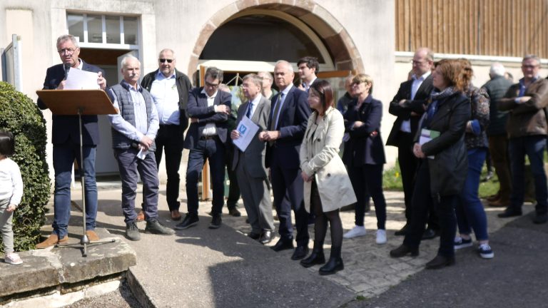 Vers un label Forêt d’Exception® pour les forêts de Darney – La Vôge