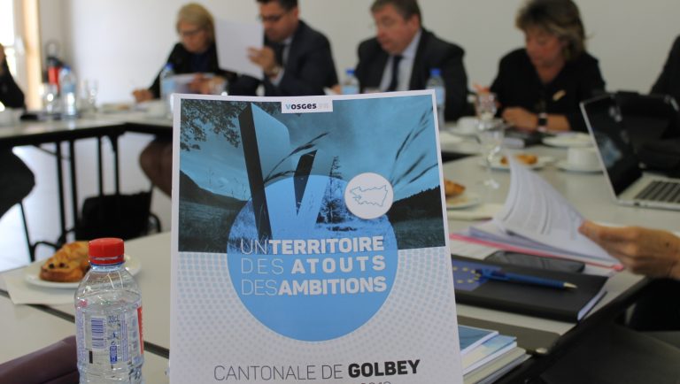 Le canton de Golbey passé à la loupe