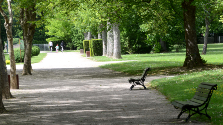 Envie d’une balade à moins de 10km de chez vous ? Pensez à Bike Vosges !