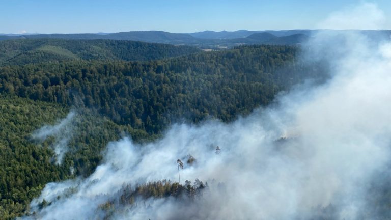 L’incendie entre Brouvelieures et Mortagne est fixé