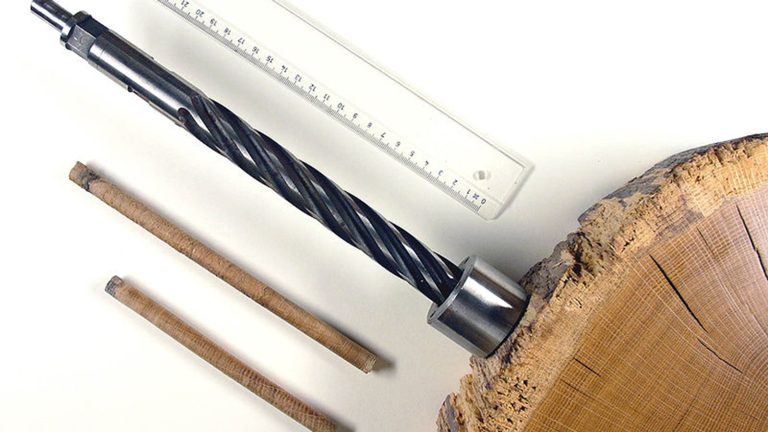 La dendrochronologie : ou comment lire son passé dans les arbres….