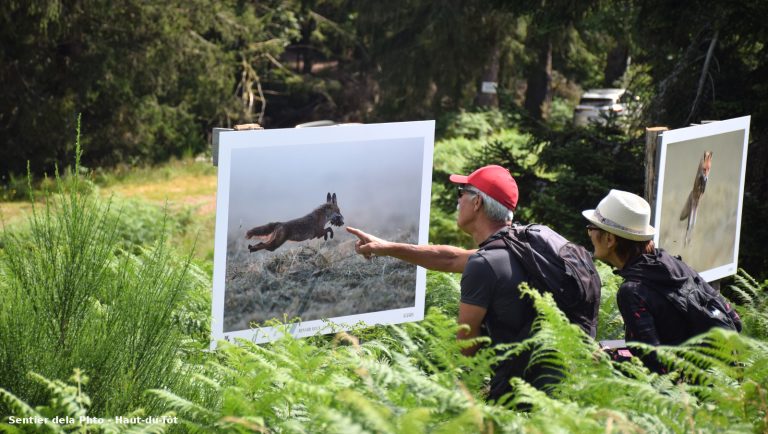 Les expos photos en plein air ont le vent en poupe