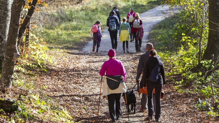 Le Club Vosgien, une bonne idée pour reprendre l’activité physique !
