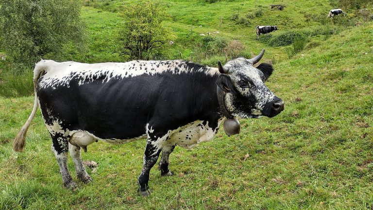 A la rencontre des agriculteurs et de leur savoir-faire