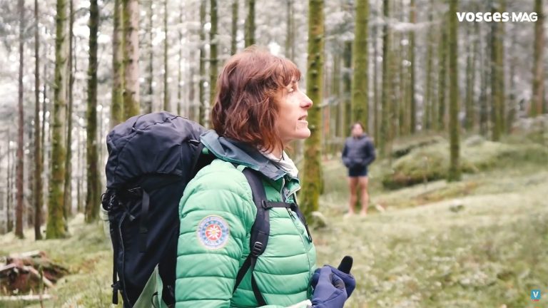 Echappées vosgiennes : sylvothérapie, méditation et bien-être par le froid