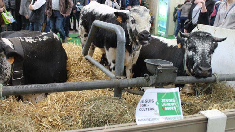 Le Département aide 706 exploitants agricoles