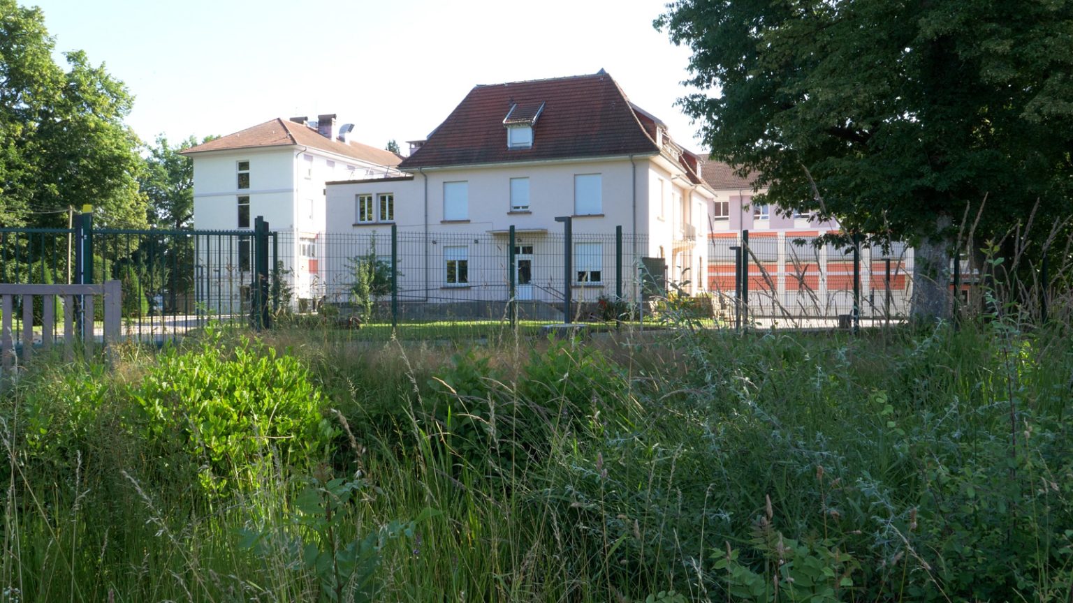 mon college au naturel 2