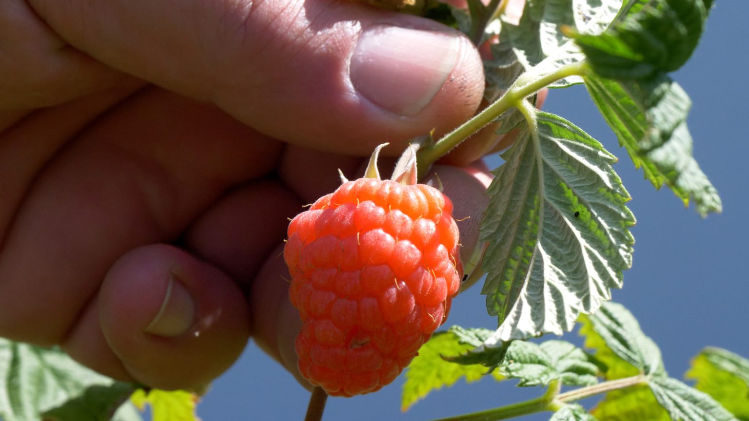 mon college au naturel 4
