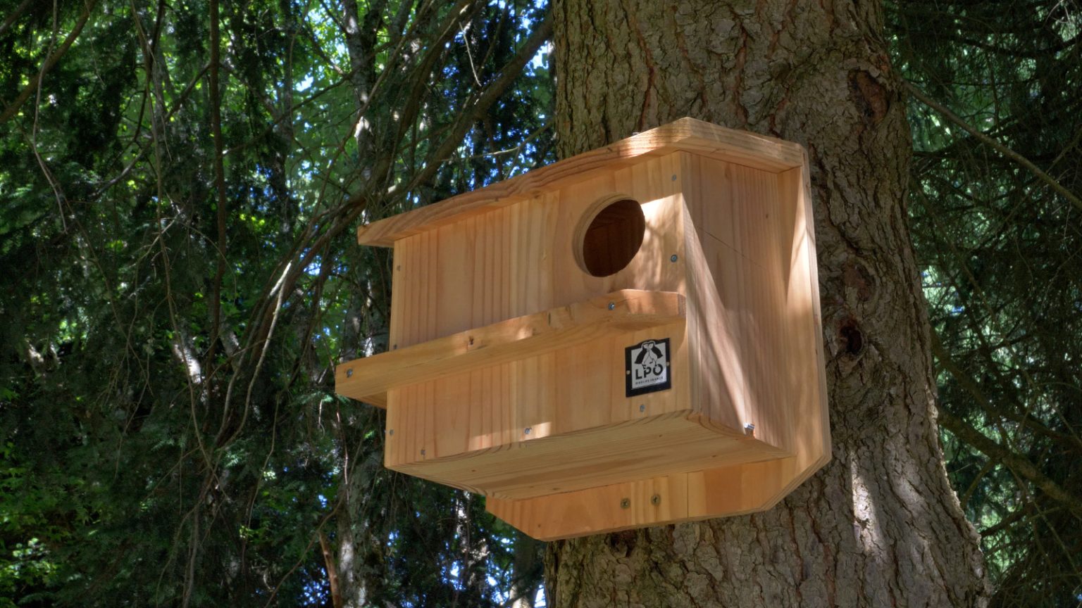 mon college au naturel 5